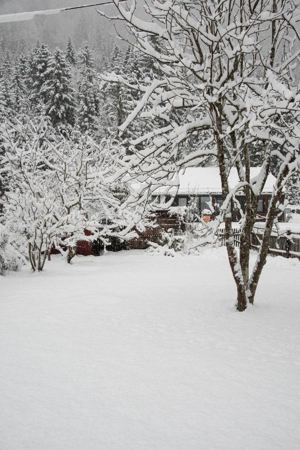 Gipfelkoenig Appartement Bayrischzell Buitenkant foto