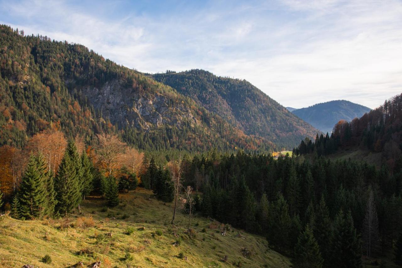 Gipfelkoenig Appartement Bayrischzell Buitenkant foto
